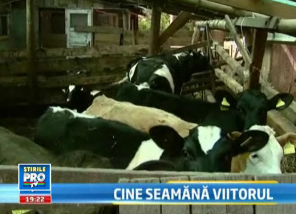 Taranul roman e sarac lipit si fara alternative. Lectia din Vest pe care nimeni nu o preda si la noi