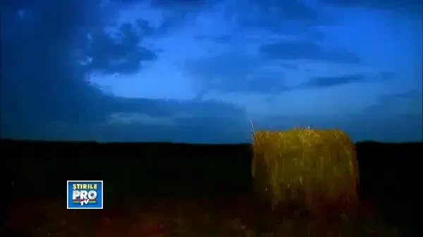 Astazi, la Stirile ProTV de la ora 19.00: Taranul roman multitasking este super-eroul agriculturii