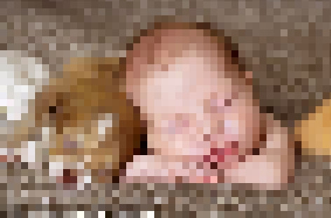 FOTO. Imaginea care iti va face ziua mai buna. "E cea mai dificila poza pe care am facut-o vreodata"