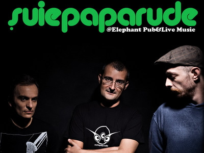 Concert Suie Paparude in Elephant Pub - marti, 8 noiembrie