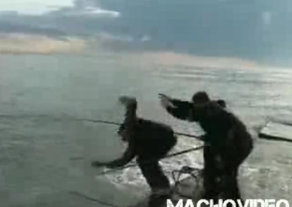 Ei sunt fara indoiala cei mai mari idioti ai planetei. Ar trebui inventate legi impotriva lor? VIDEO