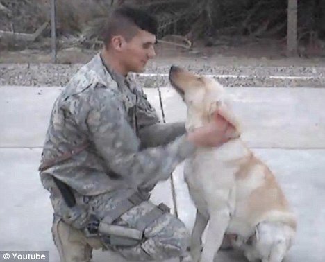 soldat si cainele cazuti in Irak