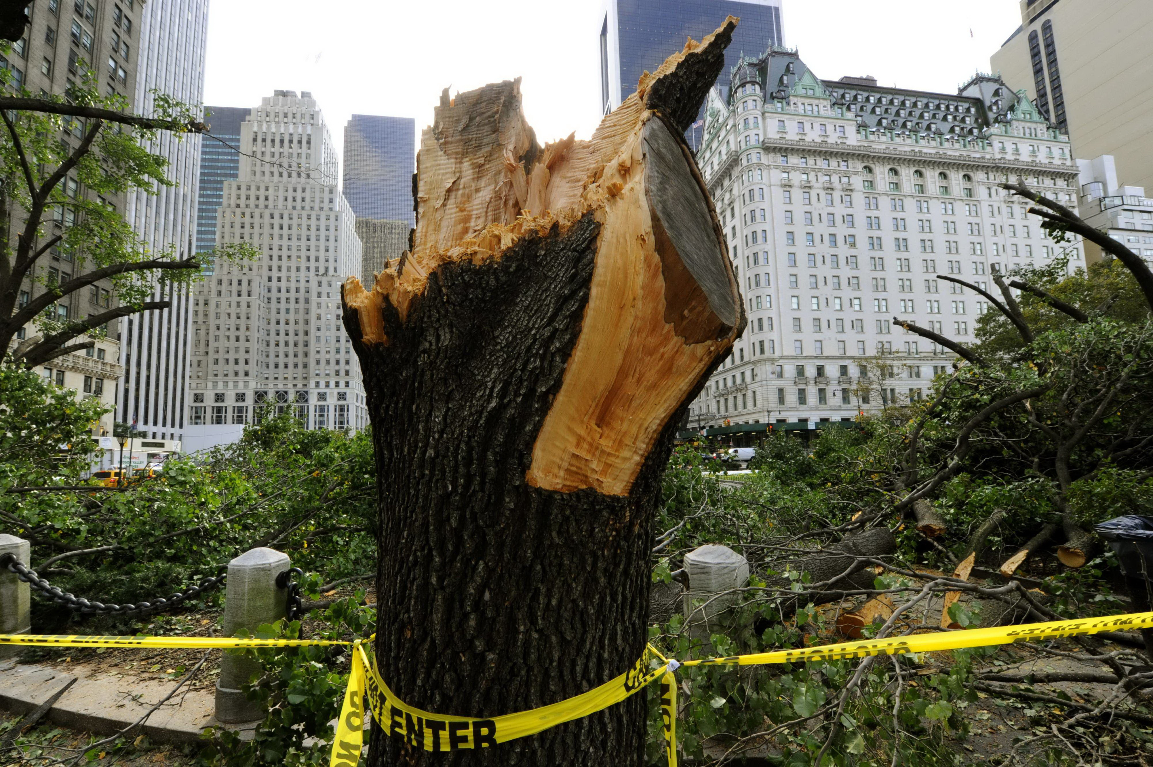 New York, fata in fata cu un fenomen cum nu s-a mai vazut de 81 de ani. IMAGINI SPECTACULOASE