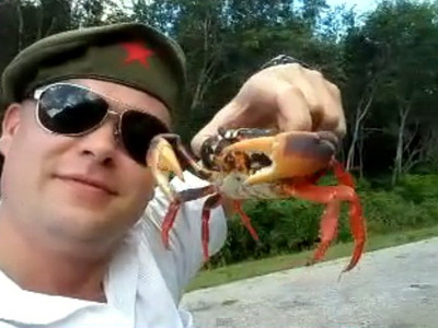 VIDEO cu 650.000 de accesari intr-o saptamana. Niciodata sa nu te pui cu un CRAB furios