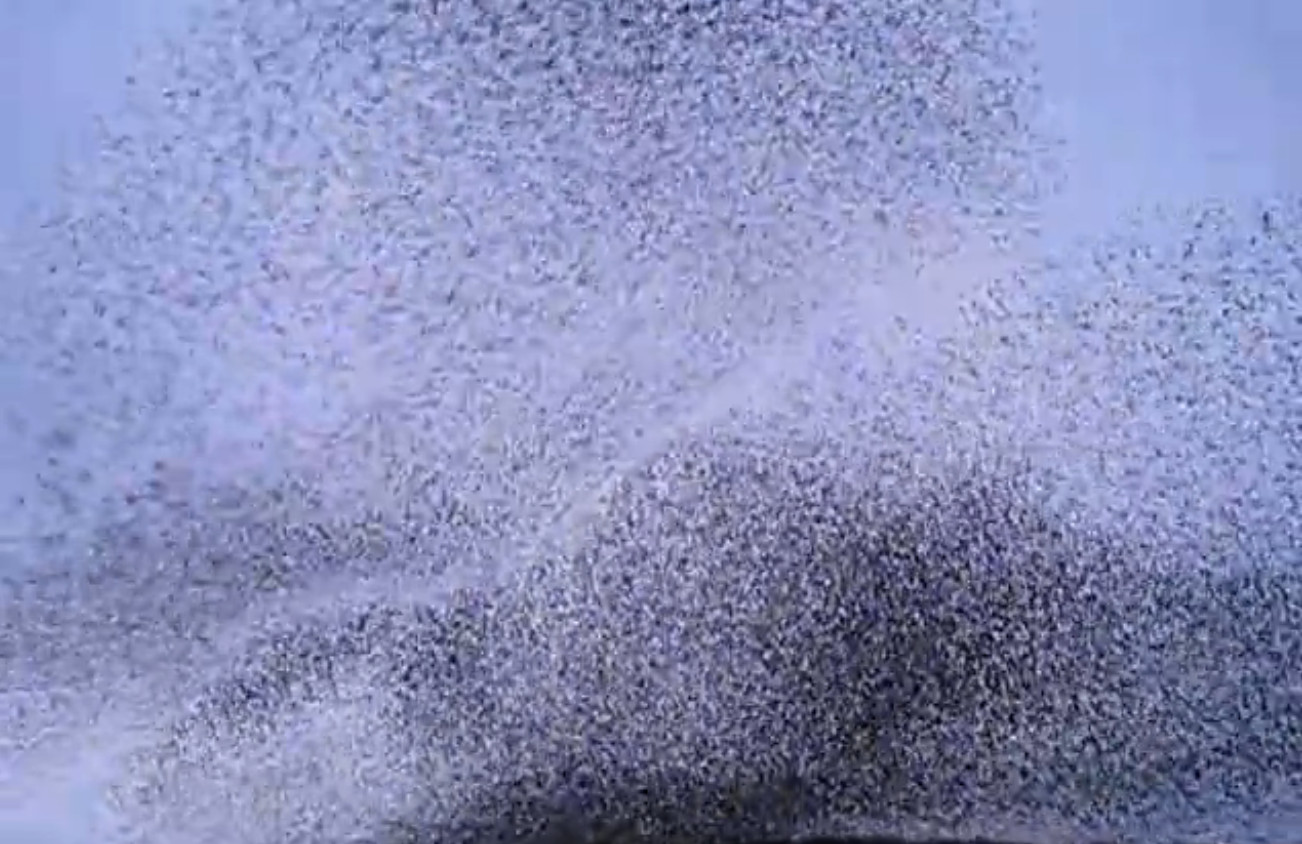 Fenomenul incredibil care anunta iarna. I-a uimit pana si pe americani. VIDEO