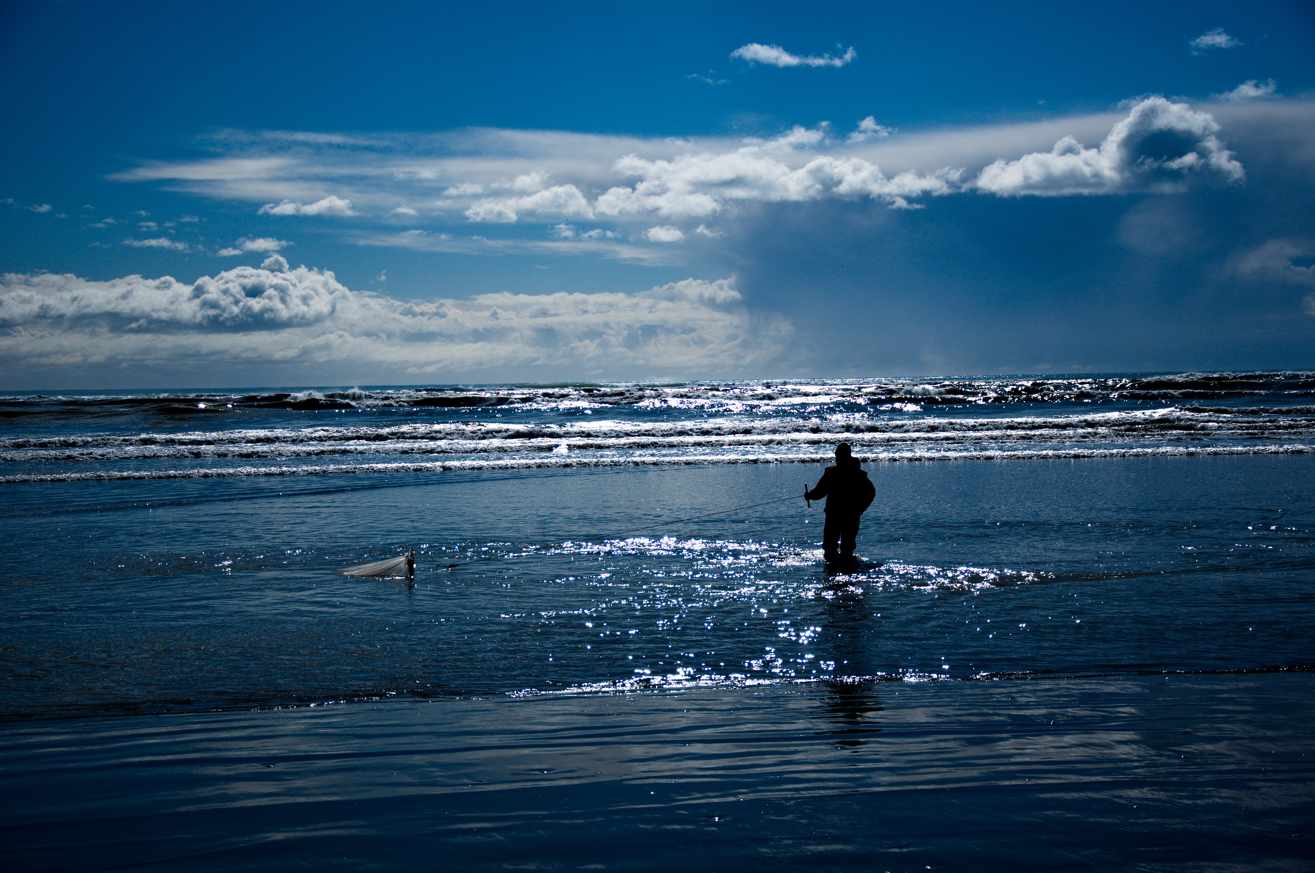 "Lunchtime la capatul lumii", pe tarmul Oceanului Pacific. Christchurch, Noua Zeelanda. GALERIE FOTO