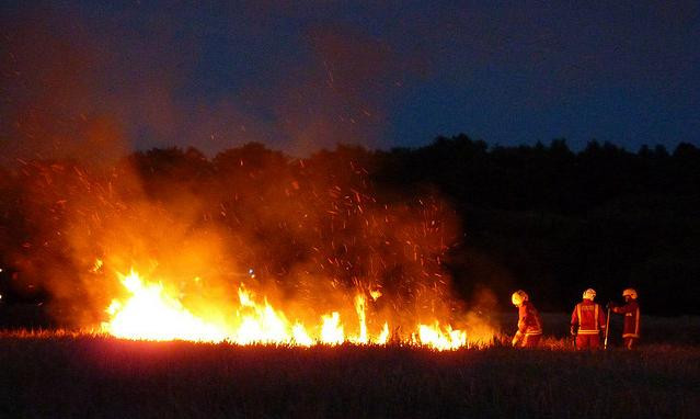 Descoperire macabră într-un lan de porumb. La fața locului au fost solicitați pompierii și poliția