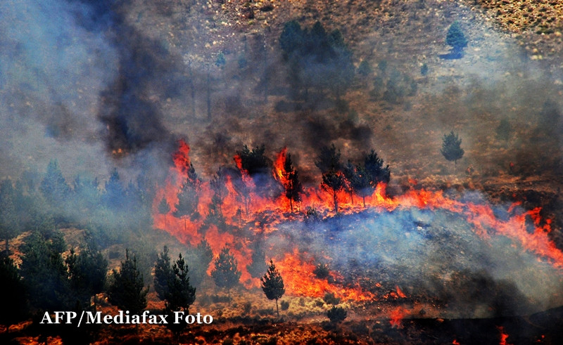 Padurile ard de trei zile, dar nimeni nu gaseste un vinovat. A vrut cineva sa-si acopere urmele?