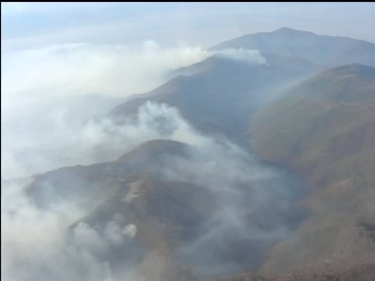 Focarele din muntii Sureanu s-au extins la litiera de pădure de foioase