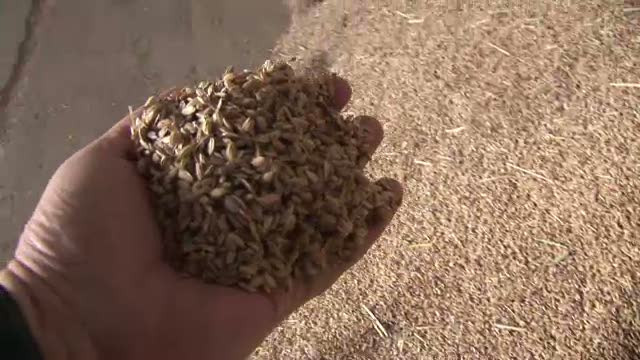 Orezul pleaca de la noi la pretul de 1,5 lei, strainii il ambaleaza si ni-l vand inapoi cu 6 lei