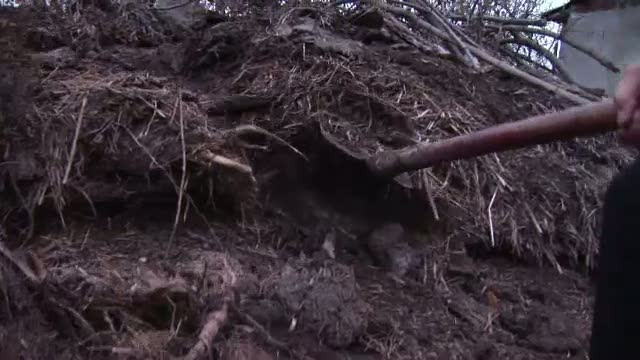 Importam pana si balegar. Romania nu produce combustibil ecologic, pentru ca "nu renteaza"