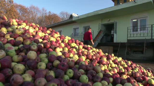 Un TIR plin cu mere s-a rasturnat pe un camp din Bistrita-Nasaud