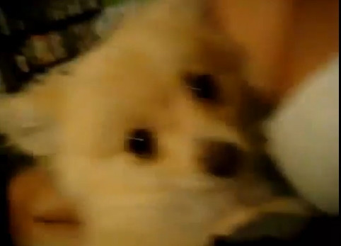 El a ajuns acolo unde toti barbatii viseaza. VIDEO care a spart topurile pe internet