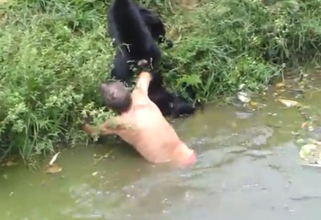 VIDEO. De rasul lumii. Un barbat beat, atacat de maimute la gradina zoologica