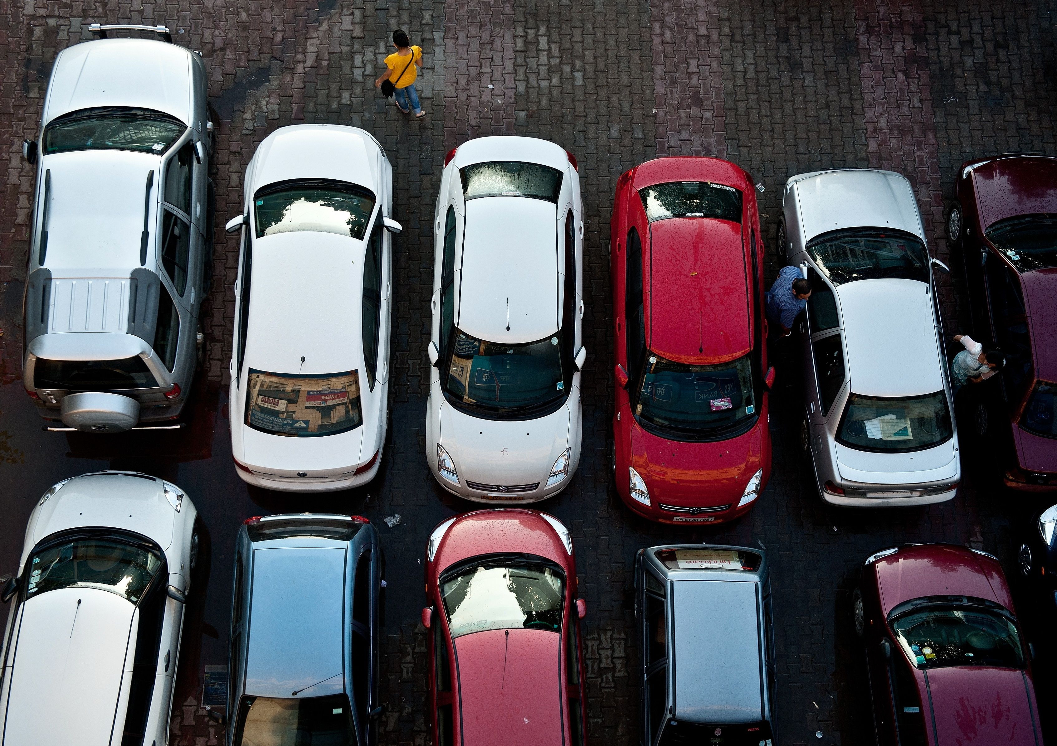 Bananele si ananasul vor fi folosite le constructia masinilor