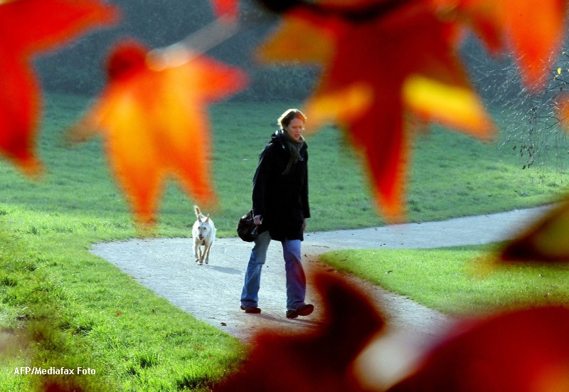 Vreme frumoasa luni, in toata tara, insa maximele scad treptat pana la sfarsitul saptamanii. Prognoza meteo pana joi