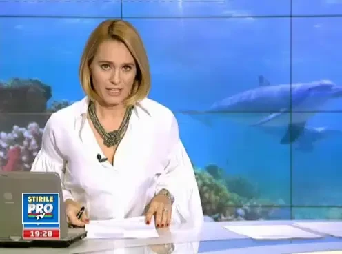 2000 de euro pe luna dupa doar doua luni de cursuri. Cum poti ajunge la un asa salariu