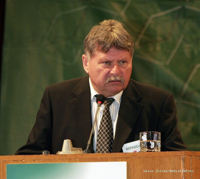 Cearta in Parlament pentru "vacanta electorala" de la Senat. Puiu Hasotti catre Attila Verestoy: "Muriti de dragul Romaniei"