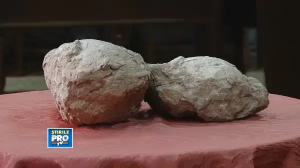 Trei oua de dinozaur pitic inapoiate Romaniei de italieni au poposit la Deva