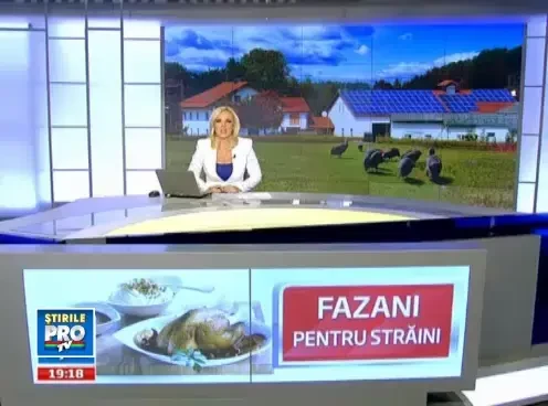 Trimitem anual 20.000 de fazani pe farfuriile europenilor. Pretul, prea mare pentru romani