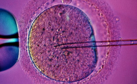 Cercetatorii au demontat o teorie veche de 200 de ani. Cum ar putea "crea copii" fara material genetic feminin