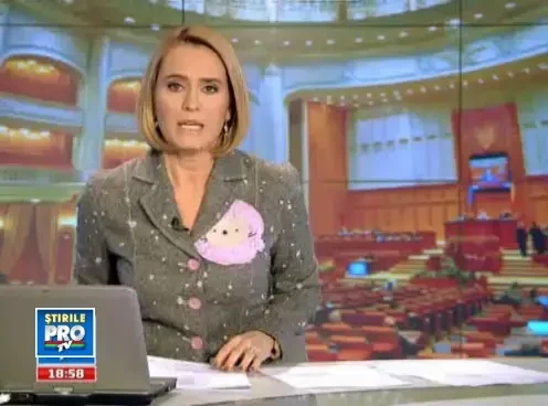 Liber la EUTANASIAT. Camera Deputatilor a adoptat Legea cainilor comunitari. COMENTEAZA