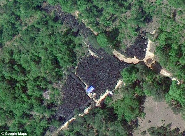 Ce vezi in aceasta imagine? Descoperire greu de imaginat prin Google Maps, intr-o padure izolata