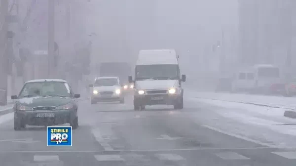 prima zapada in timisoara