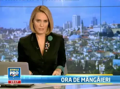 Mobilizare generala pentru securitatea premierului Emil Boc, aflat in vizita la Tel Aviv