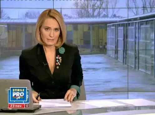 Doi primari din Capitala au anuntat ca vor steriliza maidanezii, unul alege eutanasierea