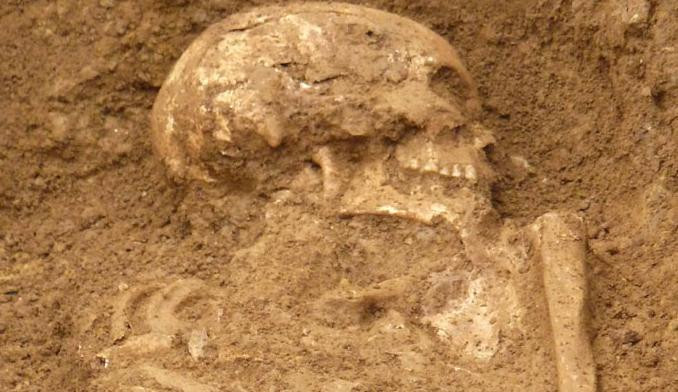 Au fost chemati sa sape o groapa in curtea unei case, insa descoperirea facuta i-a oripilat. FOTO