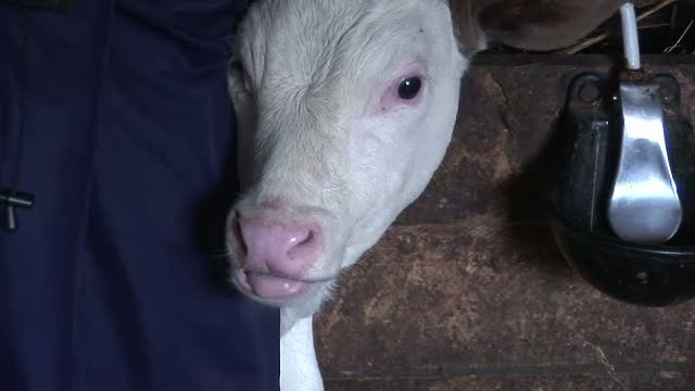 Incredibil, dar adevarat. O idee importata din SUA functioneaza si la noi: dar din dar se face Rai