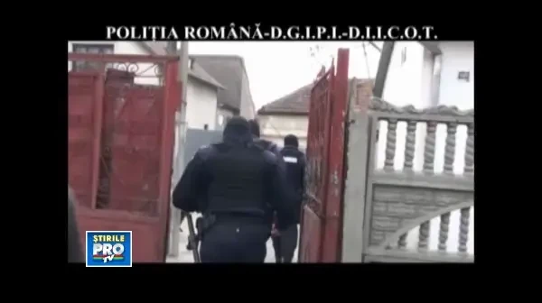 descinderi proxeneti la Timisoara