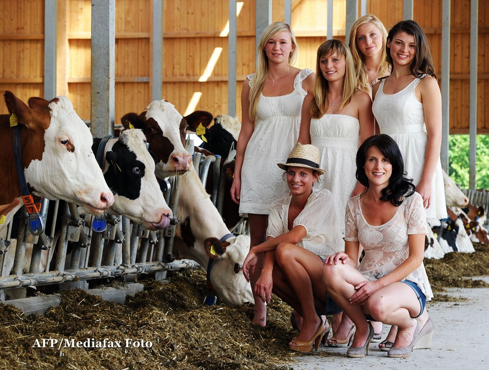 50 mil. euro, puse la bataie pentru tinerii care vor sa infiinteze o ferma. Ghidul solicitantului