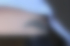 FOTO. Ce ascunde aceasta vedeta de la Hollywood intr-o zona intima a corpului