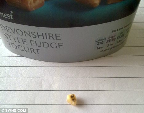 FOTO. Barbatul care nu va mai manca niciodata iaurt, dupa ce a gasit in ultima cutie cumparata