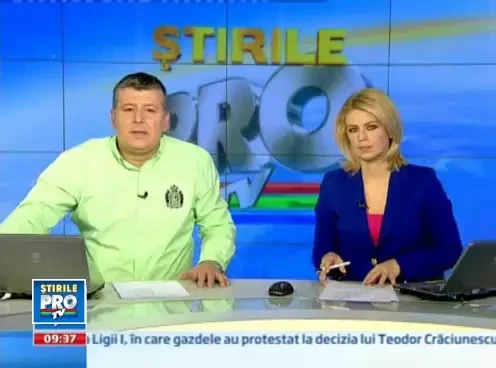 Soarta cainilor maidanezi din Bucuresti este in continuare incerta. Ce solutii sunt