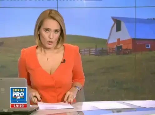 Craciunul la pret redus. Cum au economisit romanii bani facand rezervare la porc