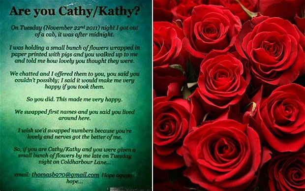 blog cathy