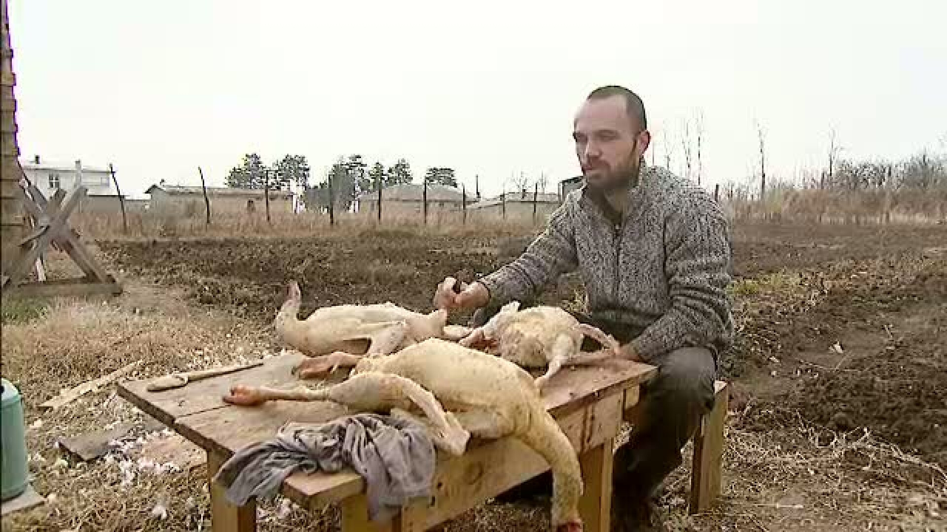 A renuntat la o cariera in IT, ca sa devina fermier. Vinde legume ecologice pe Facebook