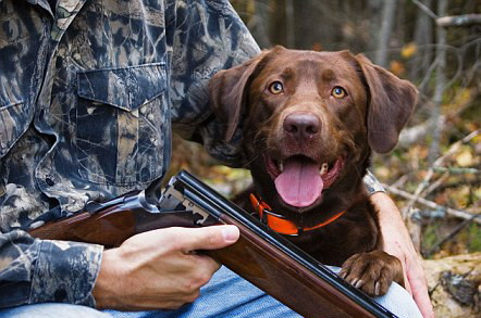 Cum a ajuns un barbat sa fie impuscat de propriul caine. VIDEO.