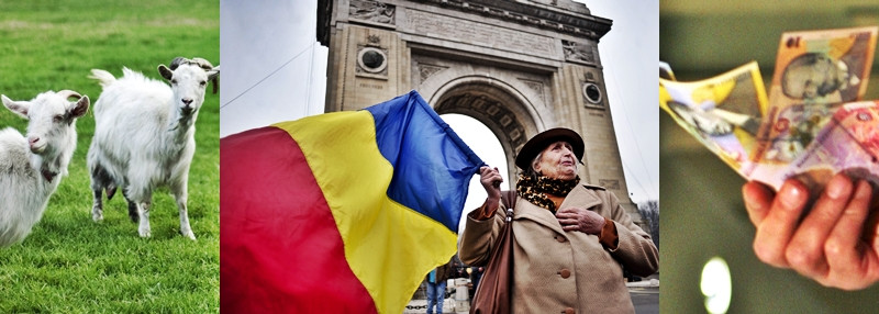 Romanul, patriot cand are bani. Vrea sa moara si capra vecinului, dar stie ce trebuie schimbat