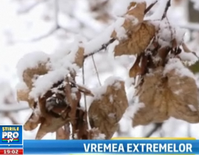 Iarna nu mai are rabdare cu noi. Zapada, ceata si poleiul au pus stapanire pe vestul tarii