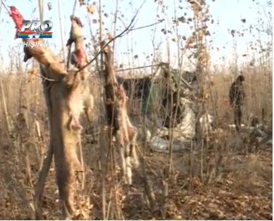 Imagini care au socat o tara intreaga. Cum a ajuns un barbat din Chisinau sa manance pisici si caini