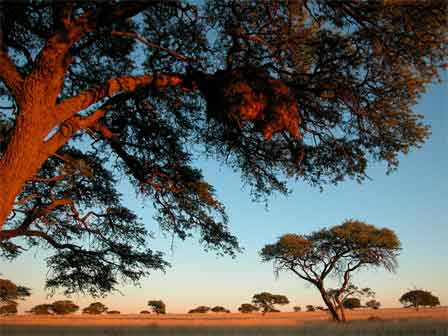 Ridicarea Africii. Cand lumea se scufunda, continentul negru a gasit reteta de crestere economica