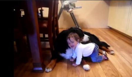 VIDEO. Bebelusul, cel mai bun prieten al cainelui. Imaginile la care au ras peste 300.000 de oameni