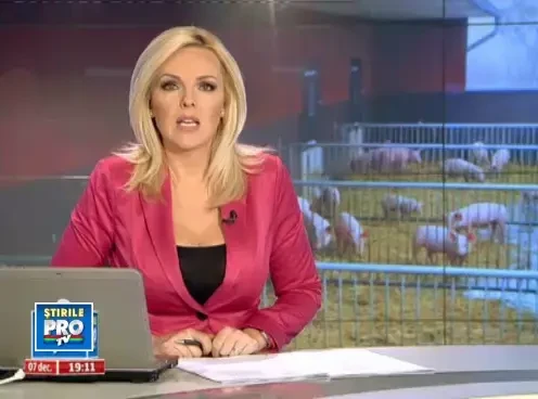 Ce inseamna pentru industria de profil unda verde pentru exportul de carne de porc in UE