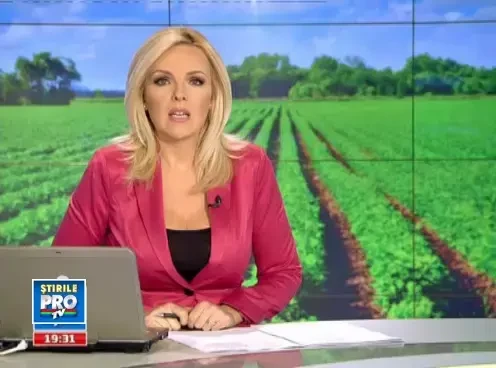 Scolile se pot descurca si cu un buget sarac. Ce program unic in tara a gandit o universitate