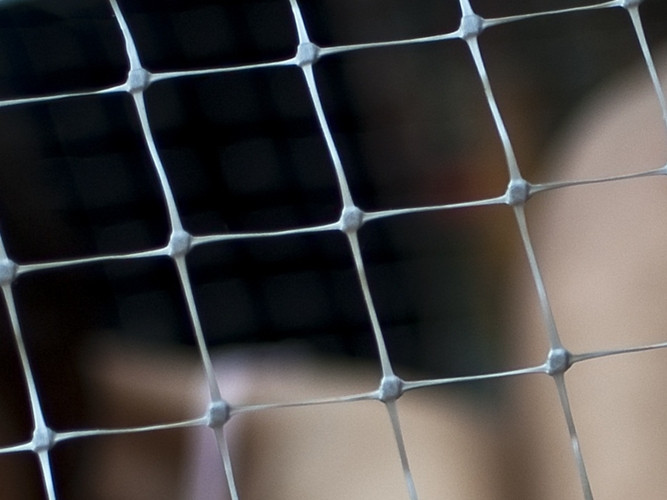 "Daca scrii pe blog: "partid de escroci si hoti", esti o oaie proasta f.. in gura" - Medvedev fierbe