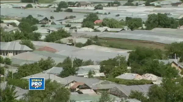 Romania, te iubesc: Taranul roman munceste mult si prost, in paguba. Smecherii profita